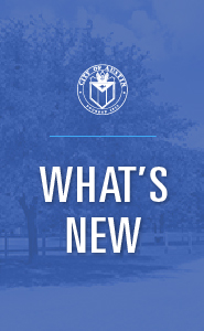 Homelessness What's New