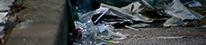 Litter Cleanup Video
