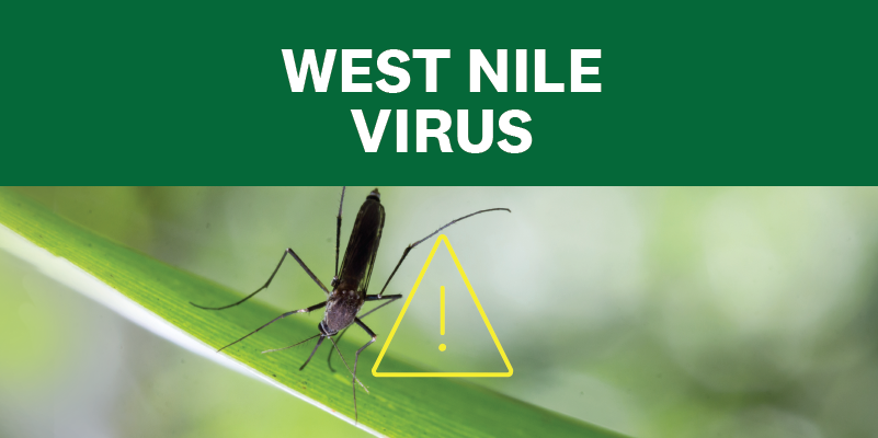 Austin Public Health has identified the first positive mosquito pool for West Nile Virus this year