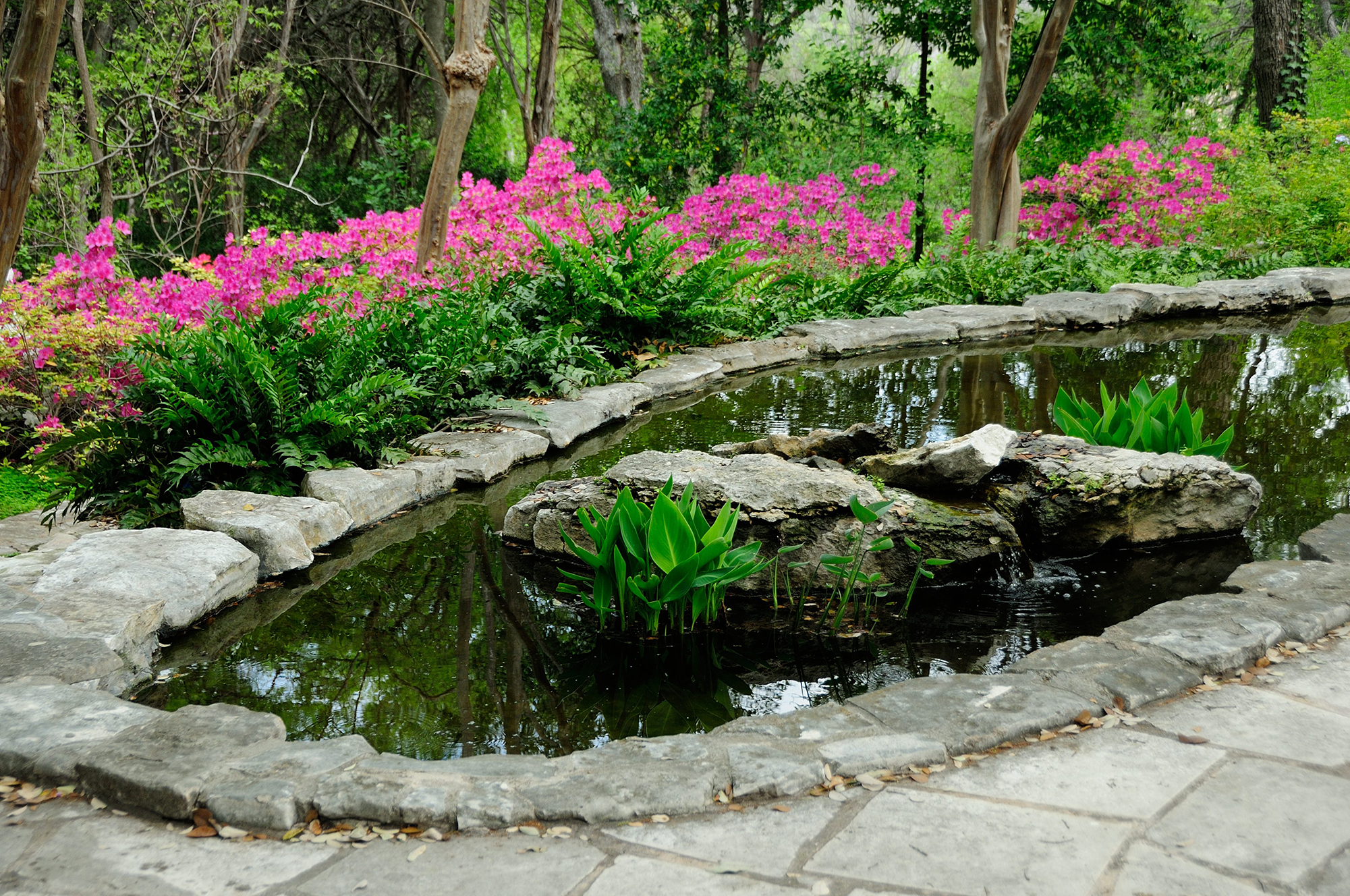 Zilker Botanical Garden