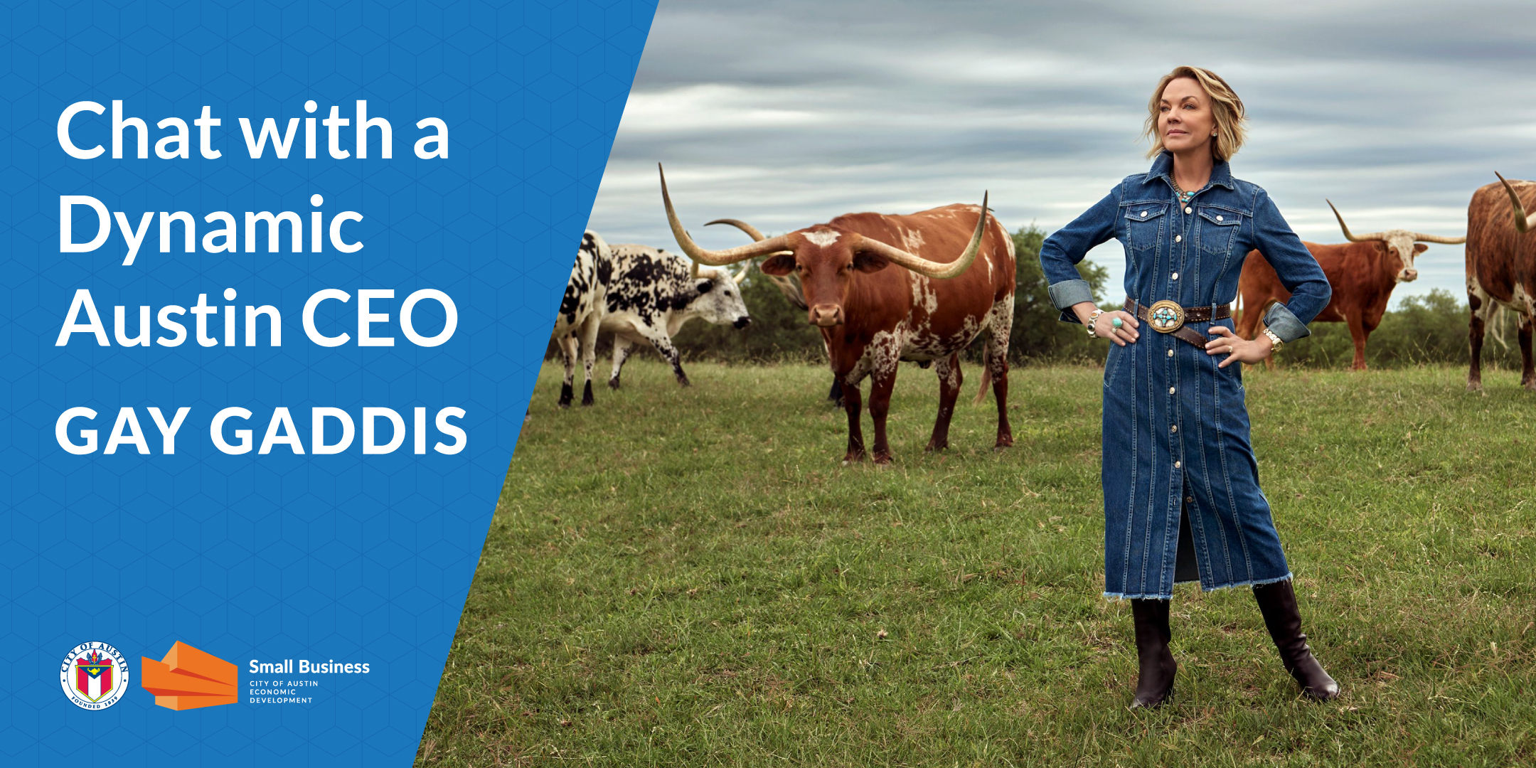 Chat with a Dynamic Austin CEO: Gay Gaddis standing in a green field next to longhorns on a cloudy day