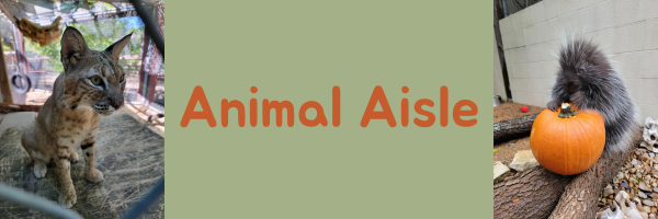 Banner that reads Animal Aisle