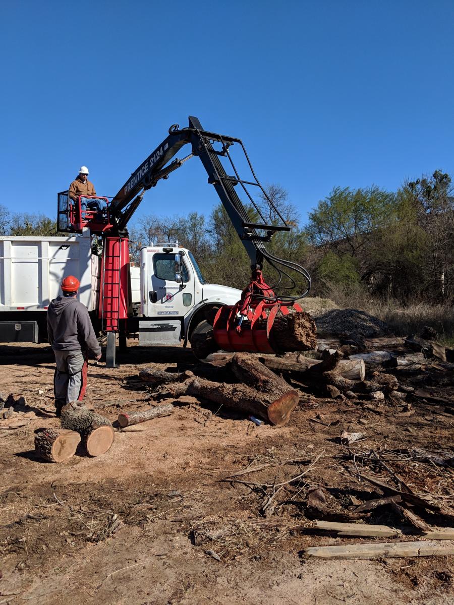 PARD foresters using a grapple claw to move a large tree trunk