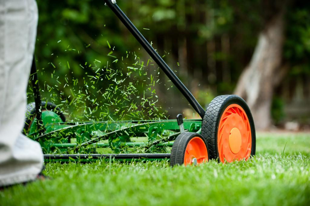 Person used lawn mower to cut grass