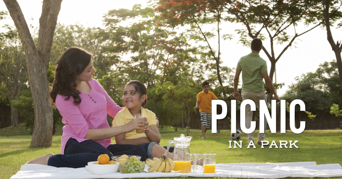 Picnic in a park
