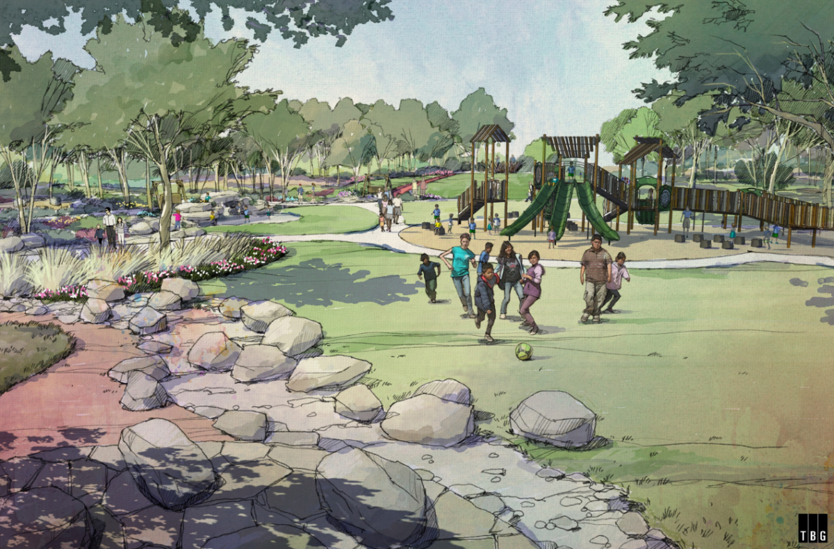 Image of family playing in park