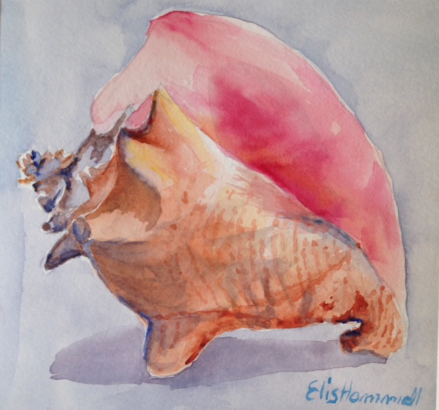 Hammell Conch Shell