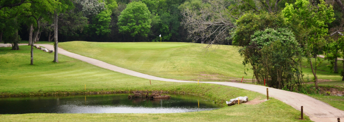 Lions Municipal Course