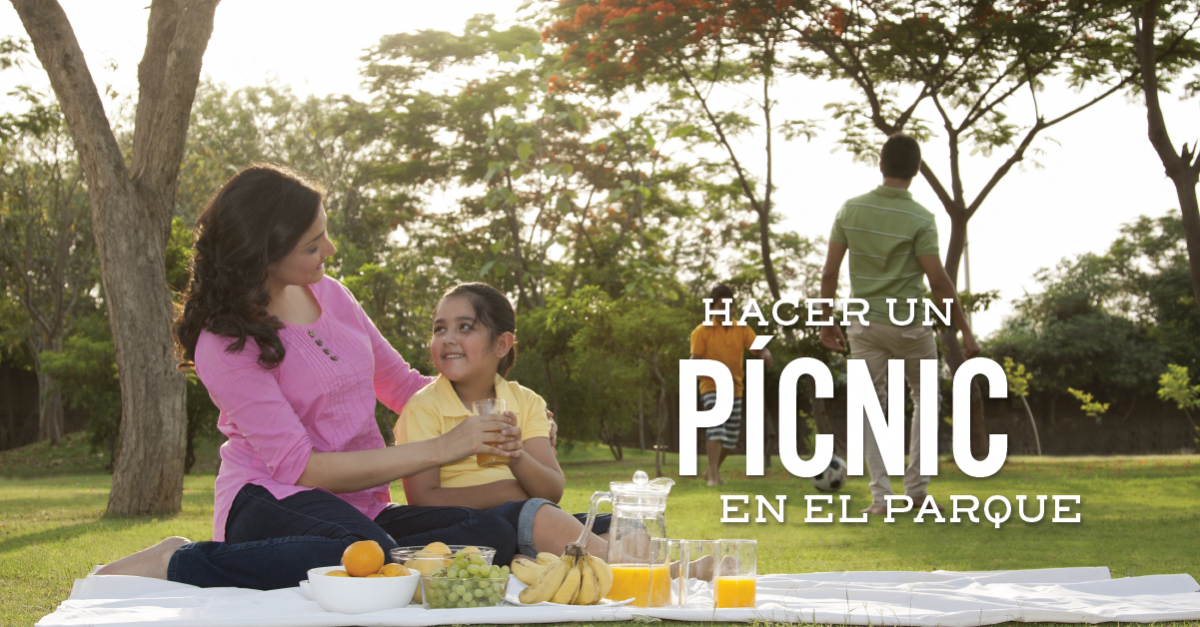 Hacer un picnic en el parque