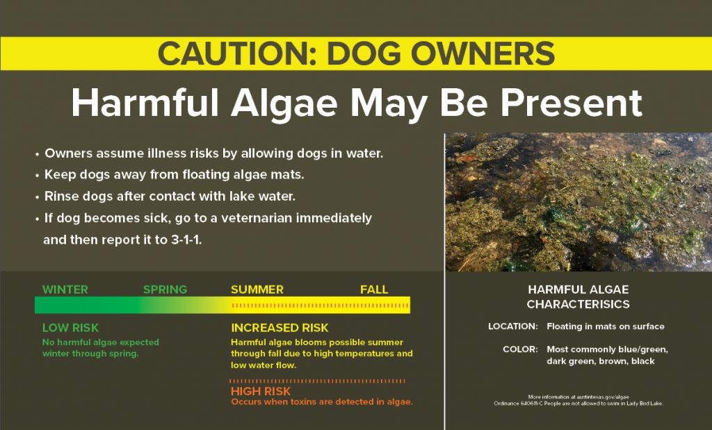 Algae caution sign