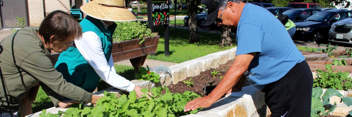Image of Seniors gardening.