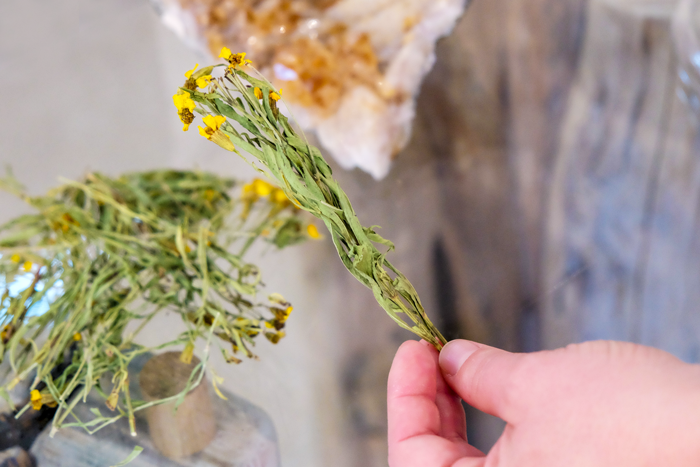 A hand holding a dried plant with green leaves and yellow flowers.