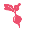 Pink radish