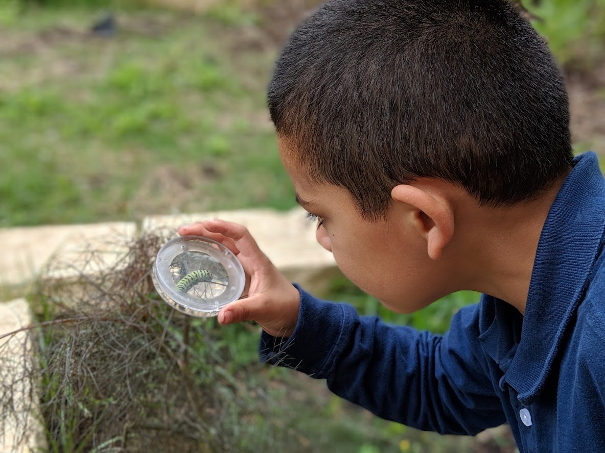 Child looking at a caterpillar through a magnifying glass.