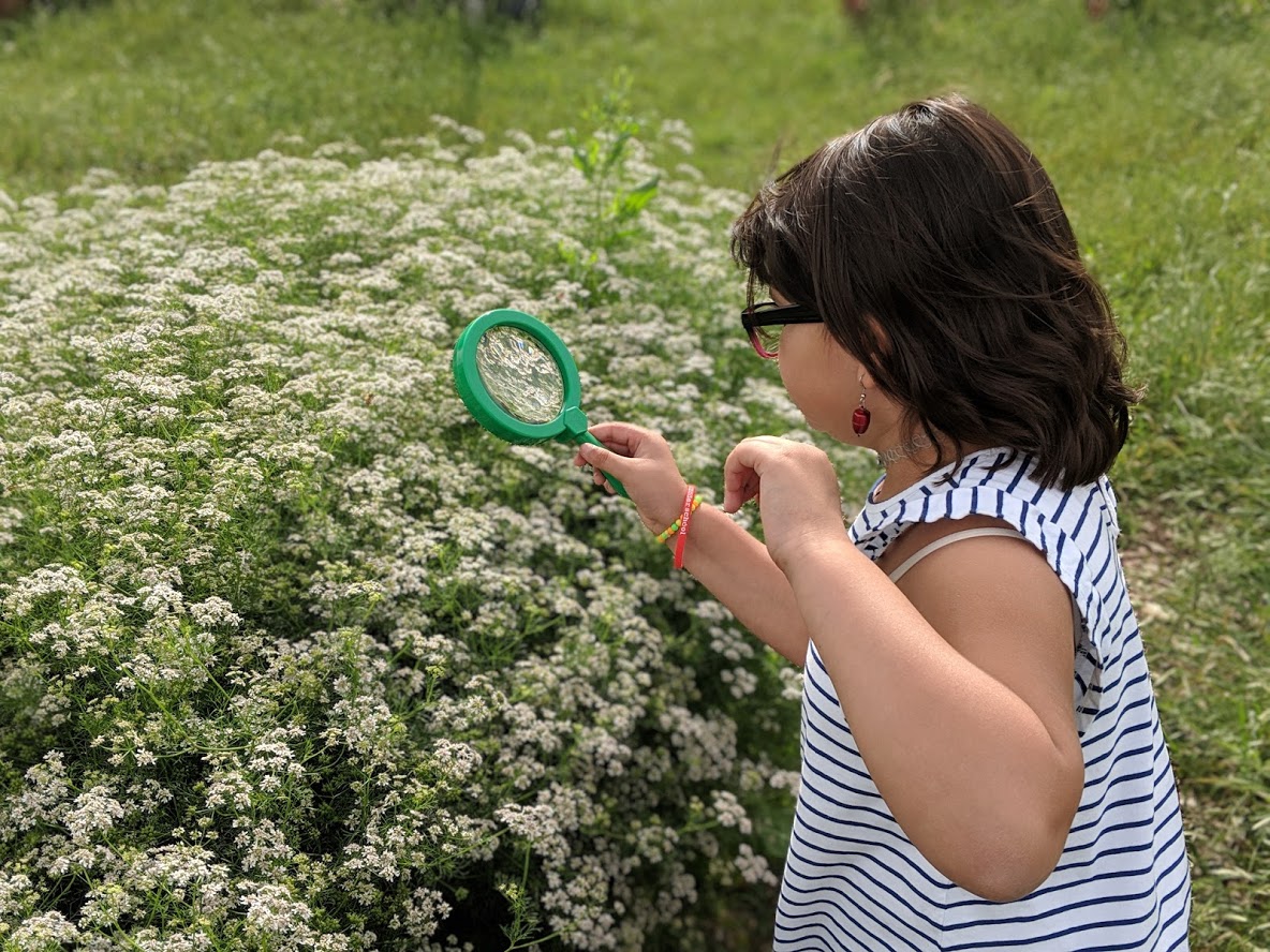 Child looking at flowers through a magnifying glass.