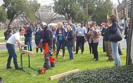 Several landscape profesionals learning to use new equipment and tools.