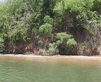 Lake Shoreline