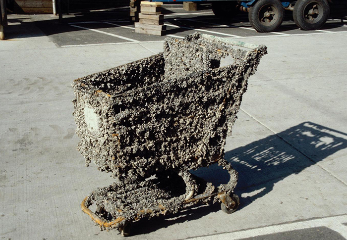 Shopping cart encrusted in zebra mussels after just a few months in infested water. Photo Credit James Lubner, U. of Wisconsin Sea Grant Institute, Bugwood.org