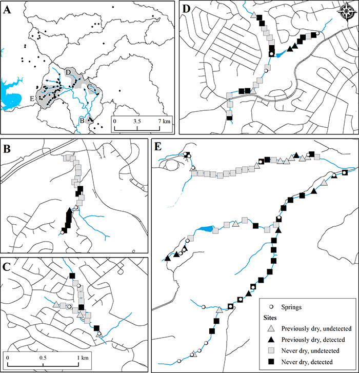 Previously dry sites and persistently wet sites where salamanders were observed during the study