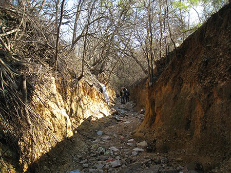 Bitter Creek prior to starting project.