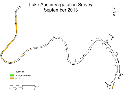 Lake Austin Vegetation Survey September 2013