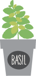 basil plant
