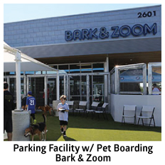 thumbnail bark & zoom