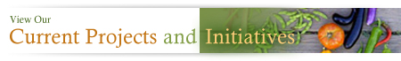 Link to view the Current Projects and Initiatives of Austin Grow