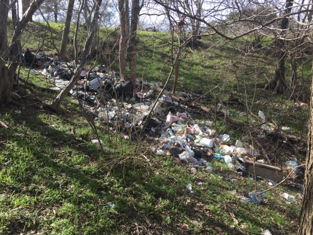 Image shows lots of trash in an area of the park; it was cleaned up by Ecology Action on January 25, 2020 at the EcoBlitz