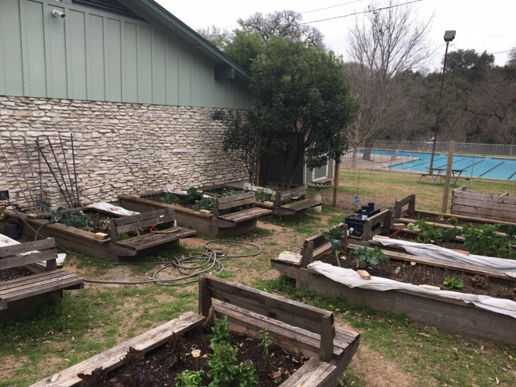 Dottie Jordan garden
