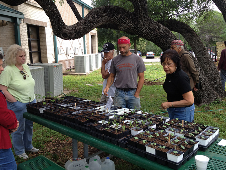 Senior Community Garden