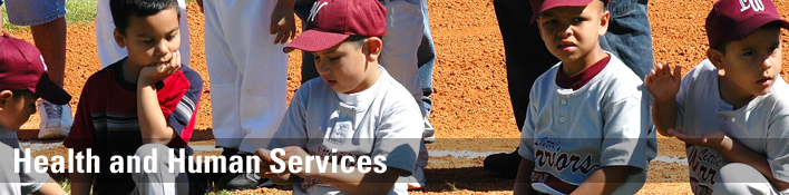 services department form texas human