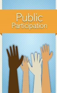 Public Participation at Council Meetings