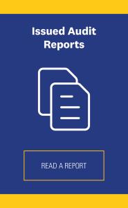 Issued audit reports, read a report