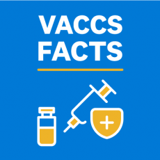 Vaccs Facts text with a vaccine syringe image