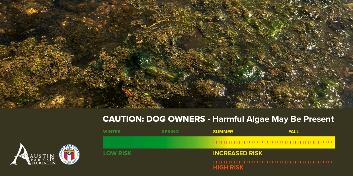 Harmful Algae Risk Increases in the Summer and Fall.