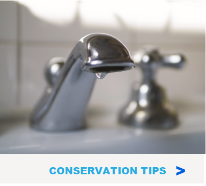 Find simple ways to save water