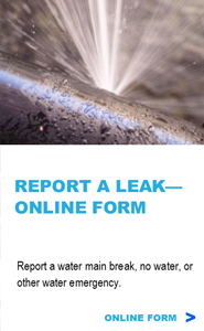 Use the Online Leak Report Form