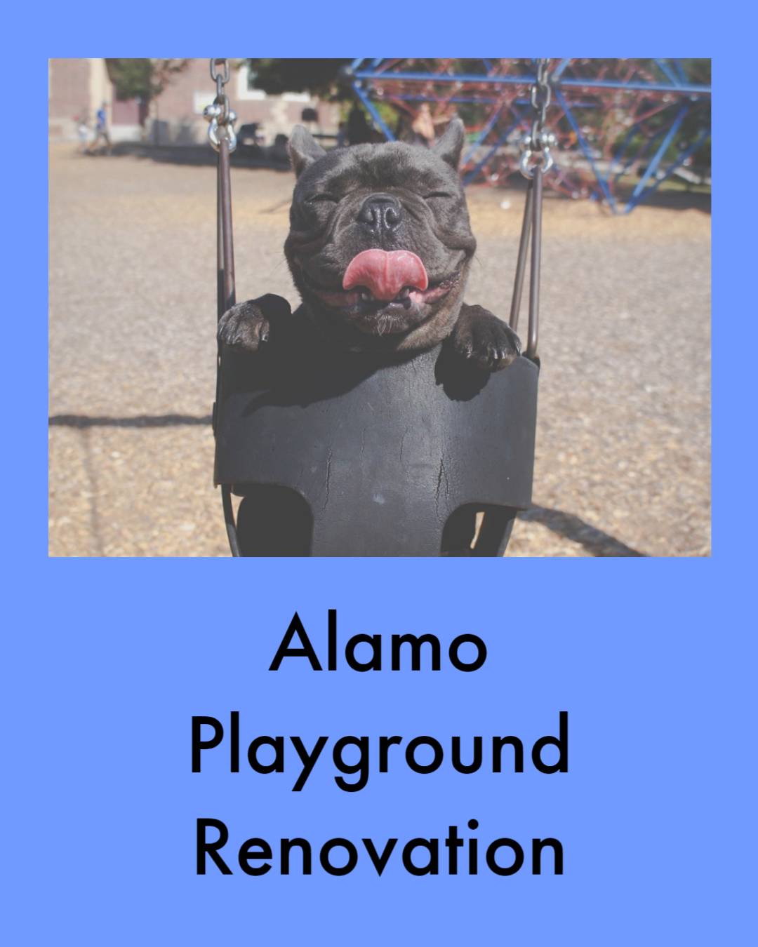 Alamo Playground Renovation