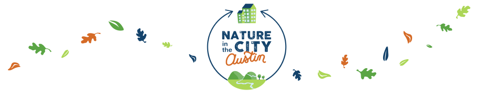 Nature in the City - Austin 