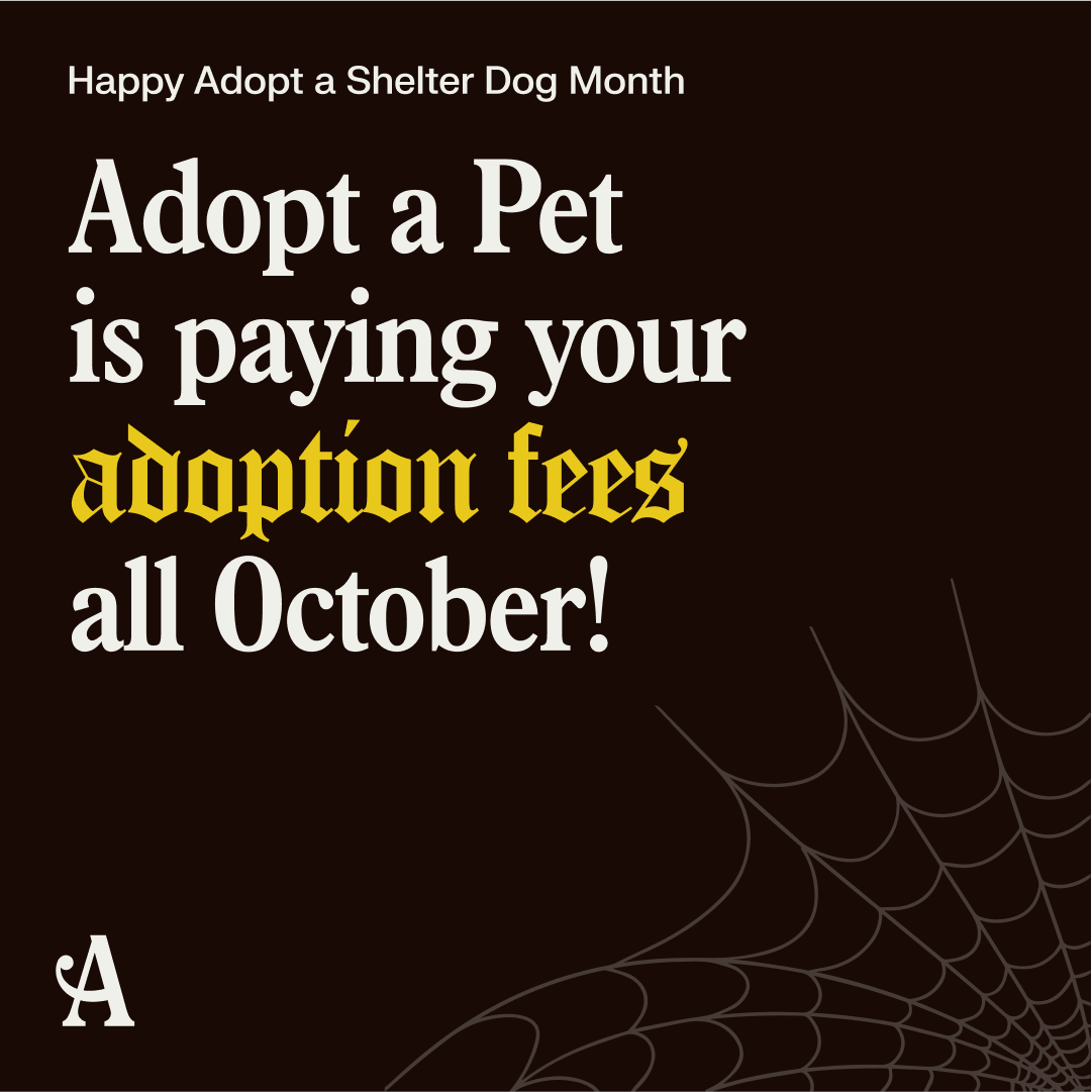 Adopt a Pet October fees waived