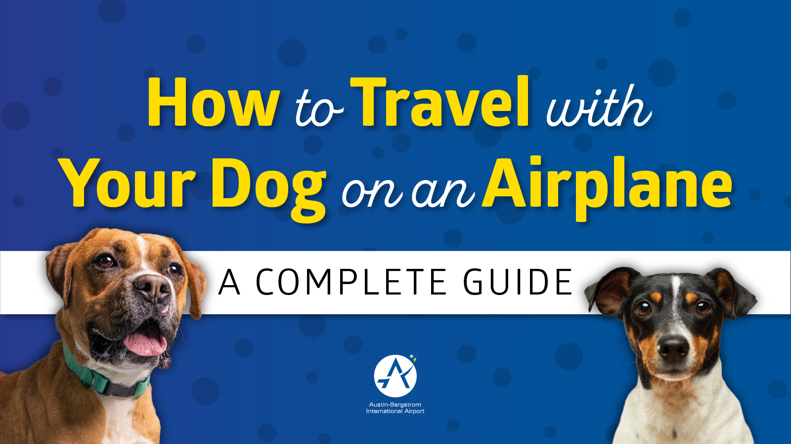 How to Travel with Your Dog on an Airplane: A Complete Guide