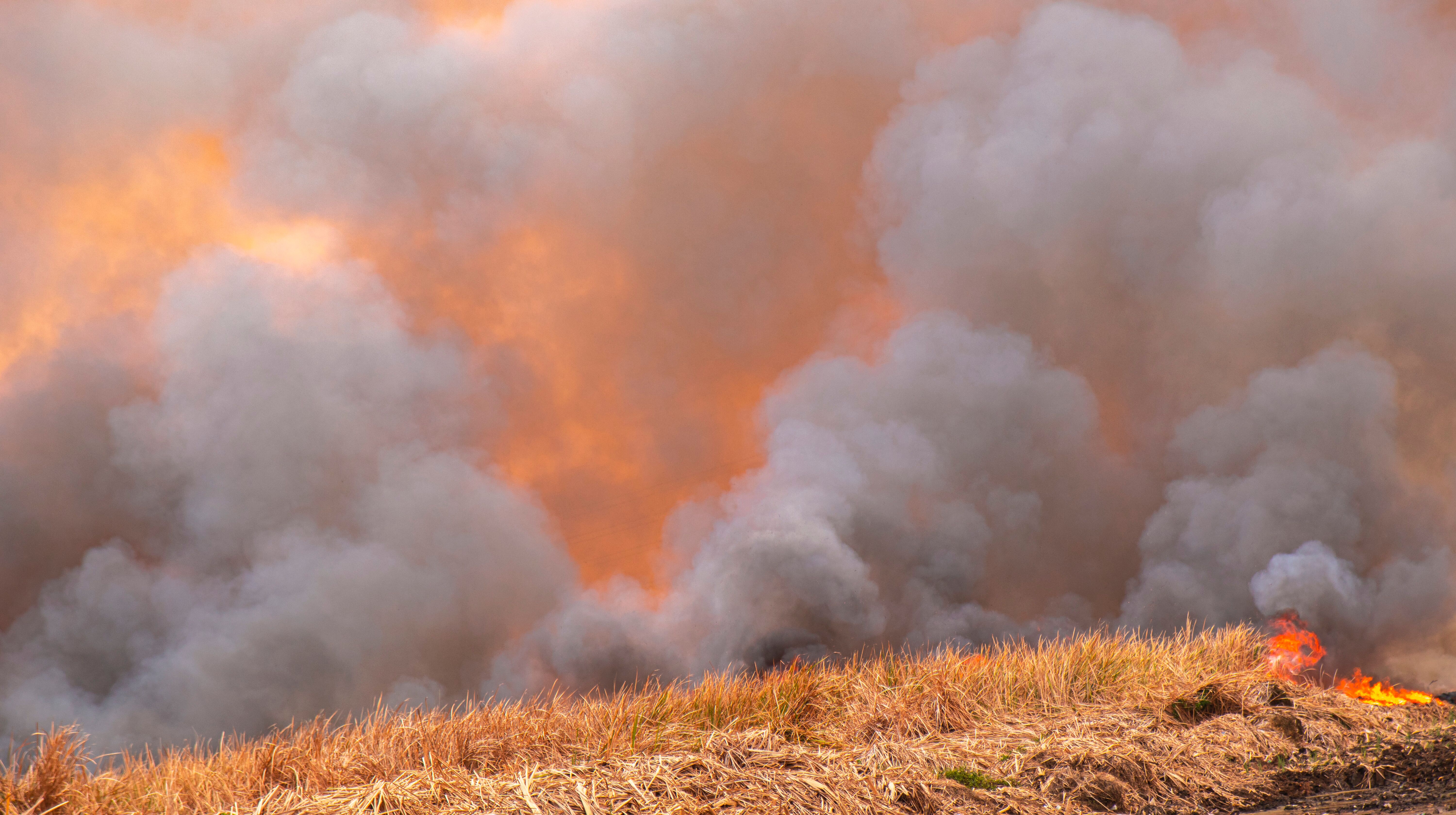 Image of wildfire burning dry grass with large amount of smoke