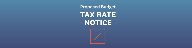 Budget alert banner