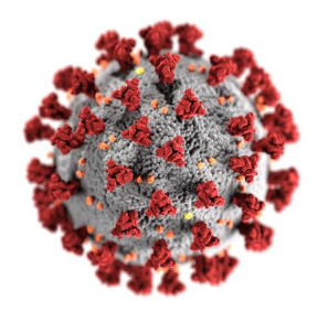 COVID19 virus