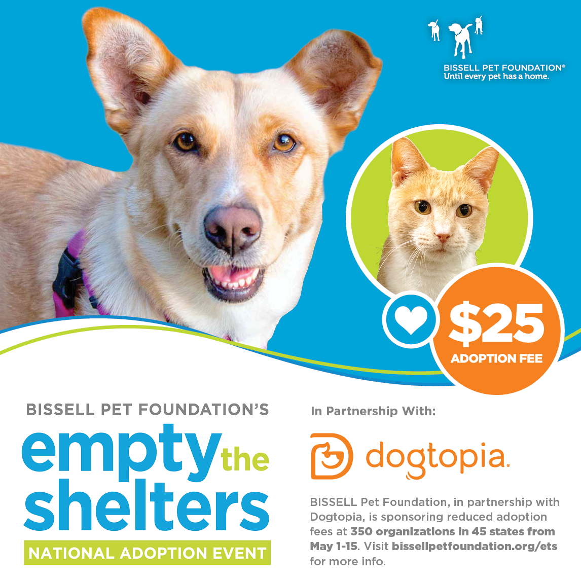Empty the Shelters