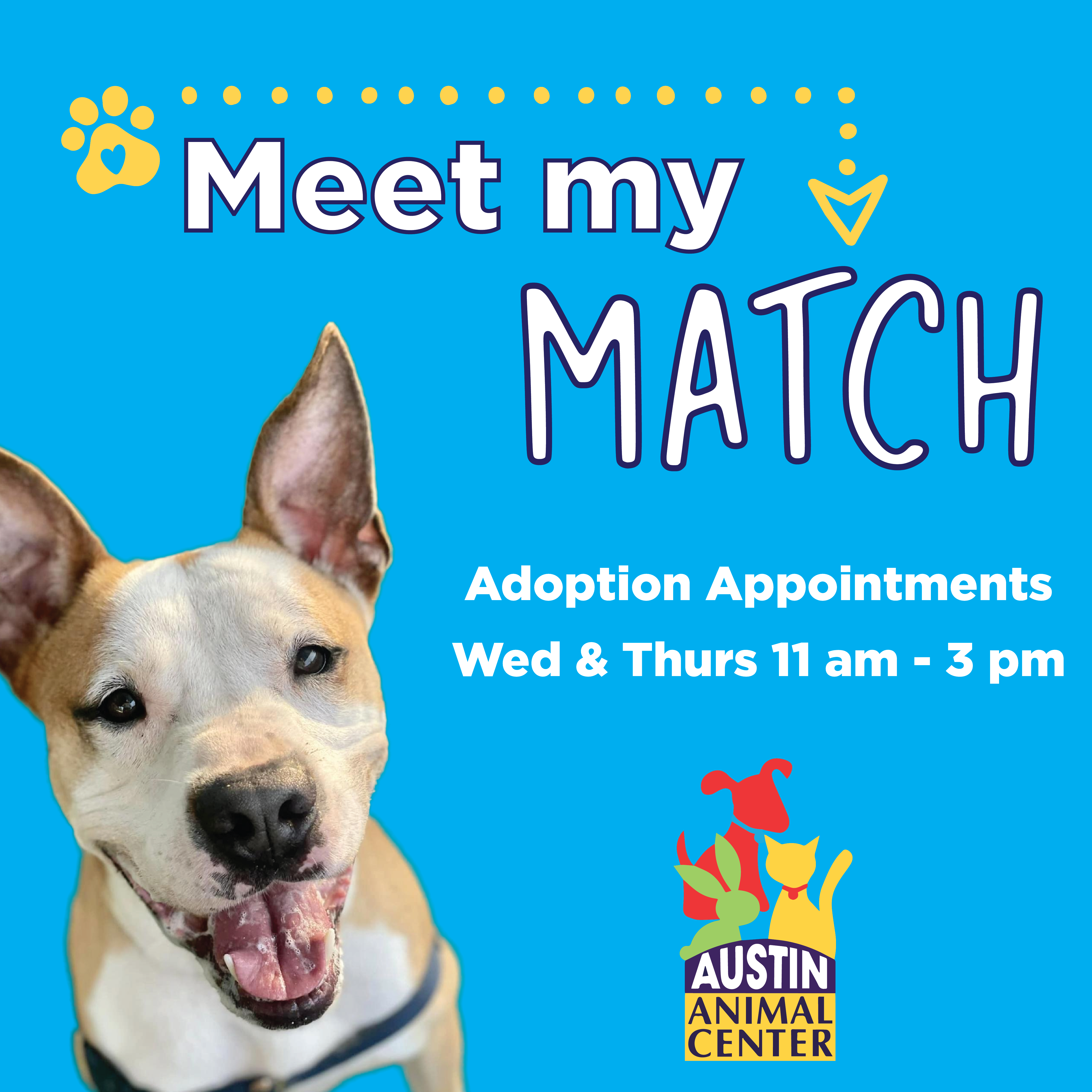 Meet My Match adoption appointments