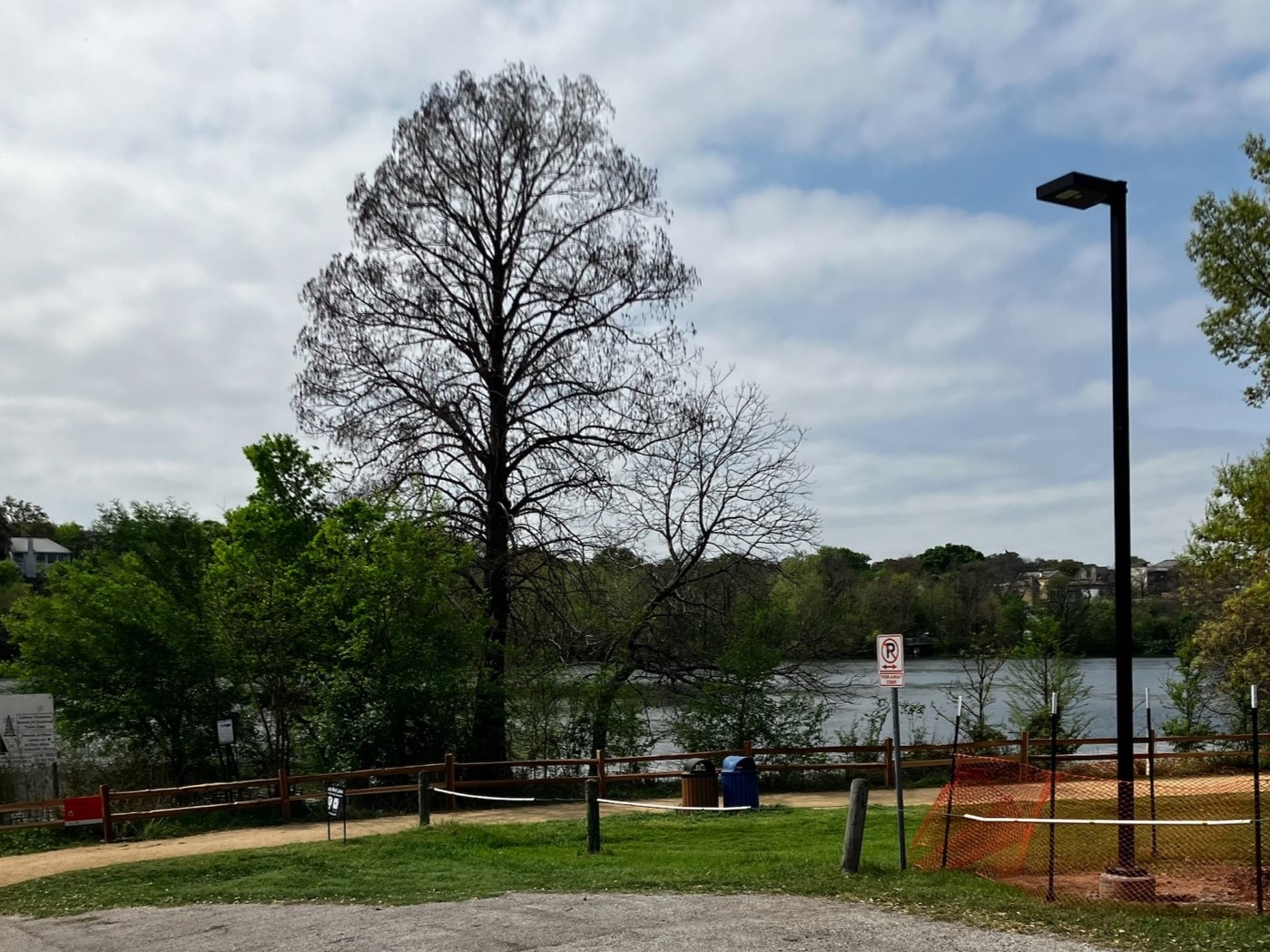 A tree and pedestrian path along the Roy Butler Hike and Bike Trail  