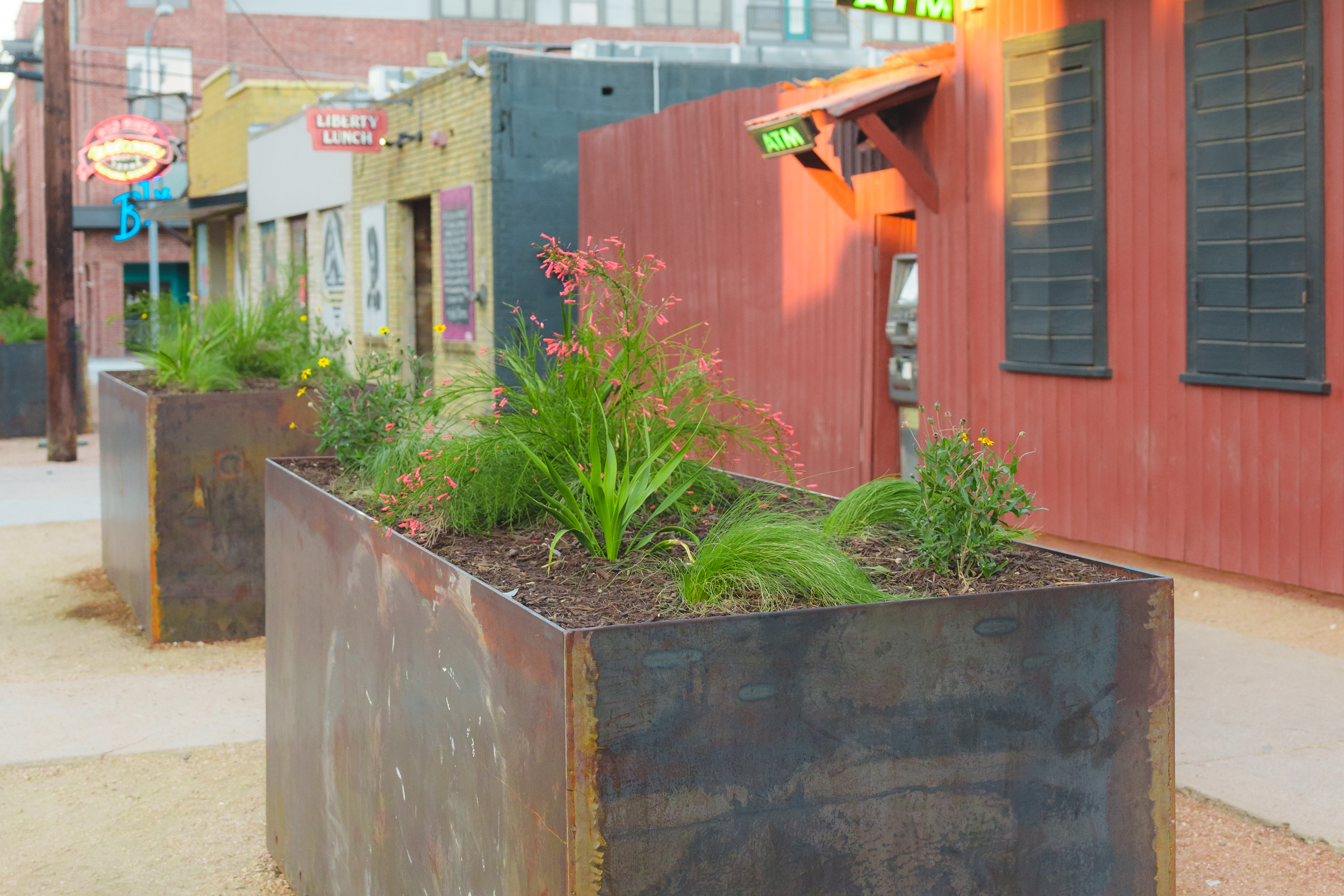 Metal planter boxes with greenery installed on Red River St in downtown Austin