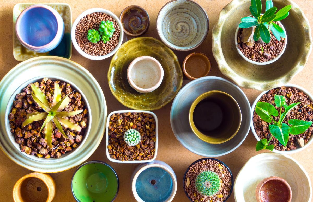 Repurpose items to make a gift Repurposed bowls and tea cups make adorable planters you can gift to loved ones.